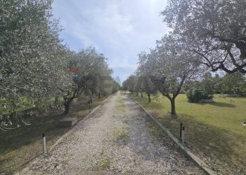 Giardino - Casa indipendente Via Cesare Licini
 
105, Ortona - foto 51