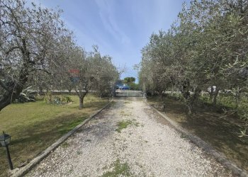 Giardino - Casa indipendente Via Cesare Licini
 
105, Ortona - foto 52