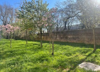 Giardino - Appartamento Via Arturo Cassoli
 
55, Ferrara - foto 32