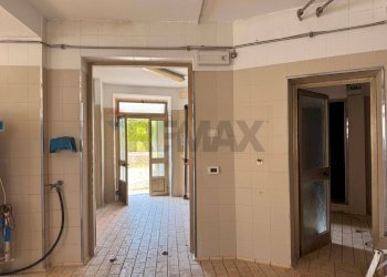 Hall / corridoio - Capannone Via Rovaia
 
91, Belluno - foto 4