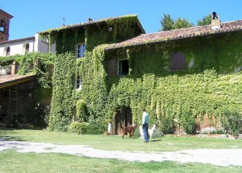 Foto 4 - Rustico Via Cocconito
 
6, Cocconato - foto 4