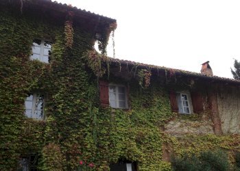 Foto 7 - Rustico Via Cocconito
 
6, Cocconato - foto 7