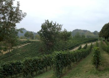 Foto 8 - Rustico Via Cocconito
 
6, Cocconato - foto 8