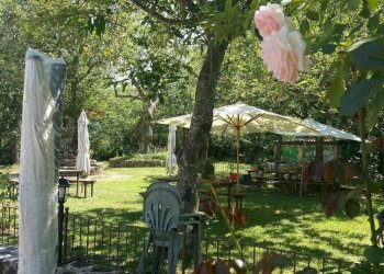 Giardino - Rustic Sc Pratolongo località Cerchiara
 
Snc, Roccamonfina - photo 10