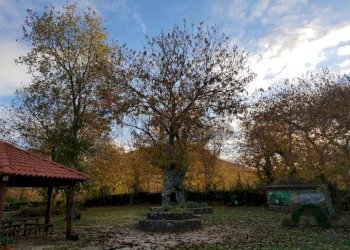 Giardino - Rustic Sc Pratolongo località Cerchiara
 
Snc, Roccamonfina - photo 16