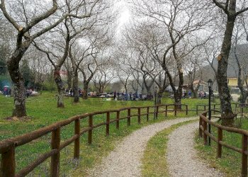 Giardino - Rustic Sc Pratolongo località Cerchiara
 
Snc, Roccamonfina - photo 17