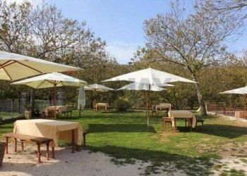 Giardino - Rustic Sc Pratolongo località Cerchiara
 
Snc, Roccamonfina - photo 66