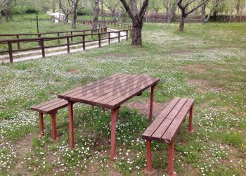 Giardino - Rustic Sc Pratolongo località Cerchiara
 
Snc, Roccamonfina - photo 67