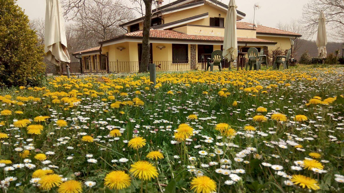 Casa all\'aperto - Agriturismo Sc Pratolongo Loc. Cerchiara Grande
 
Snc, Roccamonfina - foto 1
