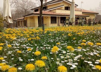 Casa all\'aperto - Agriturismo Sc Pratolongo Loc. Cerchiara Grande
 
Snc, Roccamonfina - foto 1