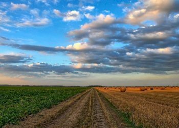 Foto 4 - Terreno agricolo via monzese, Vignate - foto 4