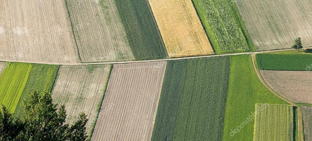 Foto 1 - Terreno agricolo via monzese, Vignate - foto 1