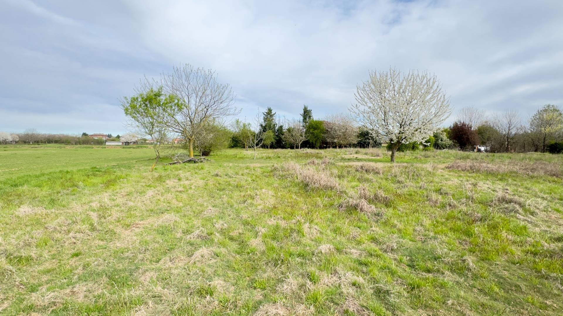 Foto 3 - Terreno agricolo Madonnina di Torrazza
 
snc, Cambiago - foto 3