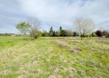 Foto 3 - Terreno agricolo Madonnina di Torrazza
 
snc, Cambiago - foto 3