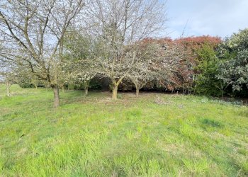 Foto 4 - Terreno agricolo Madonnina di Torrazza
 
snc, Cambiago - foto 4