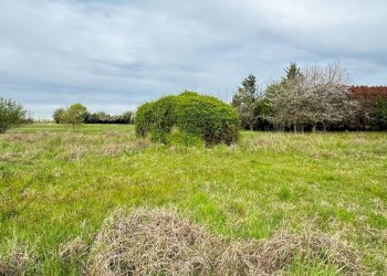 Foto 5 - Terreno agricolo Madonnina di Torrazza
 
snc, Cambiago - foto 5