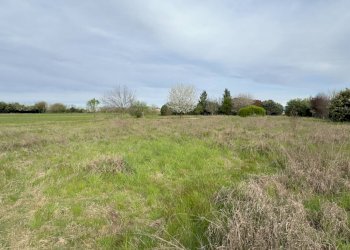 Foto 6 - Terreno agricolo Madonnina di Torrazza
 
snc, Cambiago - foto 6