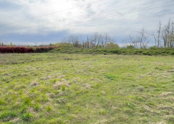 Foto 7 - Terreno agricolo Madonnina di Torrazza
 
snc, Cambiago - foto 7