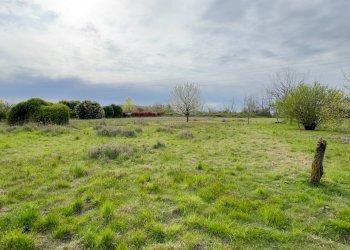 Foto 8 - Terreno agricolo Madonnina di Torrazza
 
snc, Cambiago - foto 8