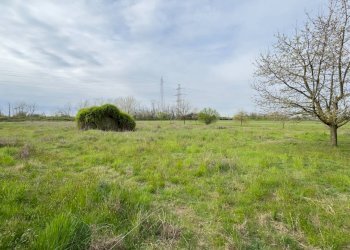 Foto 9 - Terreno agricolo Madonnina di Torrazza
 
snc, Cambiago - foto 9
