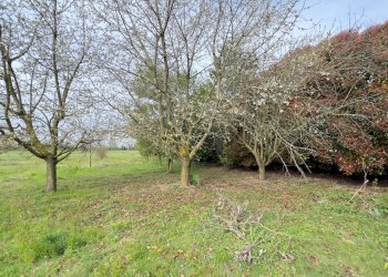 Foto 10 - Terreno agricolo Madonnina di Torrazza
 
snc, Cambiago - foto 10