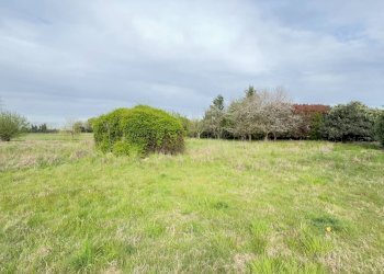 Foto 11 - Terreno agricolo Madonnina di Torrazza
 
snc, Cambiago - foto 11