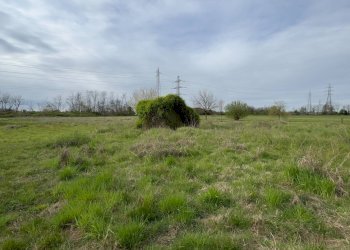 Foto 12 - Terreno agricolo Madonnina di Torrazza
 
snc, Cambiago - foto 12