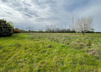 Foto 13 - Terreno agricolo Madonnina di Torrazza
 
snc, Cambiago - foto 13