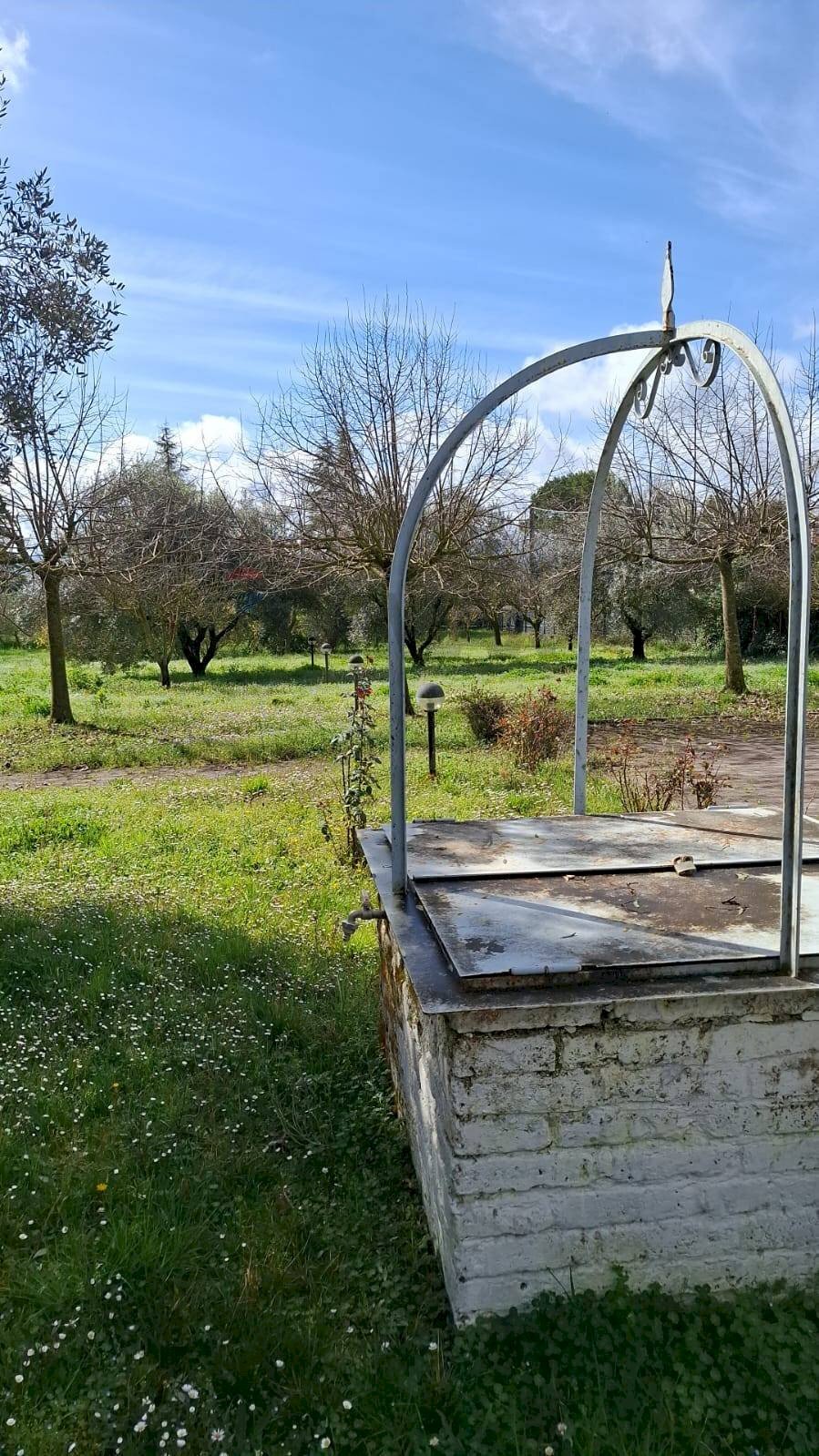 Giardino - Casa indipendente Ferentino - foto 1