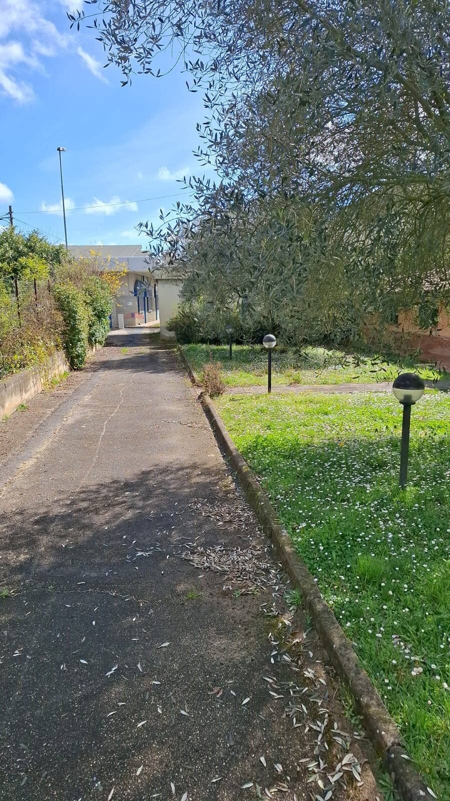 Giardino - Casa indipendente Ferentino - foto 2