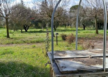 Giardino - Casa indipendente Ferentino - foto 1