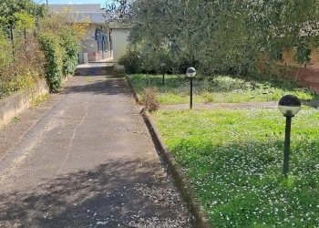 Giardino - Casa indipendente Ferentino - foto 2