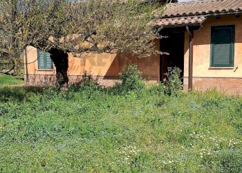 Giardino - Casa indipendente Ferentino - foto 17