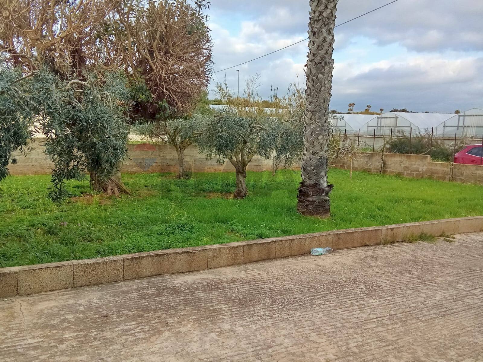 Giardino - Casa indipendente contrada fondo salina
 
snc, Vittoria - foto 2