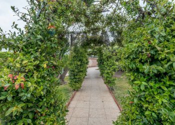 Giardino - Villa VIA DEL GARGANO
 
13, Ragusa - foto 12