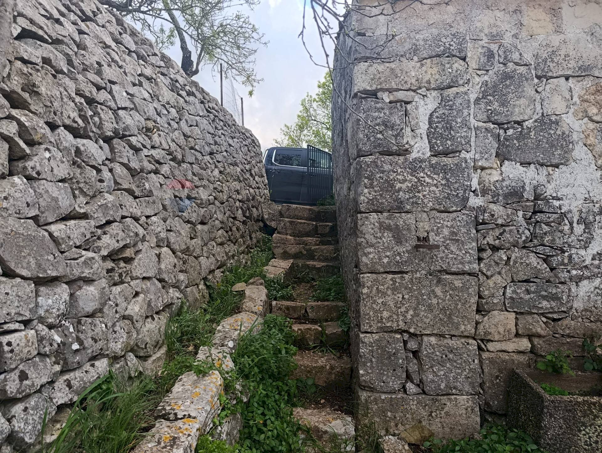 Giardino - Rustic STRADA VICINALE 239- C/DA TRIBASTONE, Ragusa - photo 3