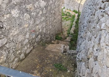 Giardino - Rustic STRADA VICINALE 239- C/DA TRIBASTONE, Ragusa - photo 14