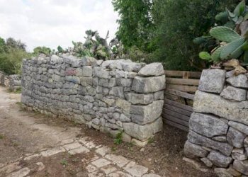 Giardino - Rustic STRADA VICINALE 239- C/DA TRIBASTONE, Ragusa - photo 27