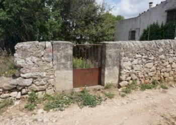 Giardino - Rustic STRADA VICINALE 239- C/DA TRIBASTONE, Ragusa - photo 28