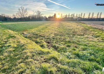 Giardino - Agricultural land Via Rozzano
 
30, Milano - photo 12