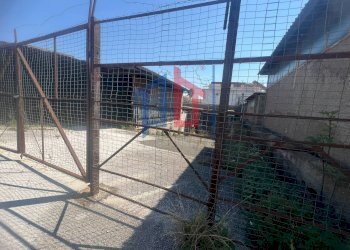 Foto 5 - Terreno edificabile Via Urbino, Ardea - foto 5