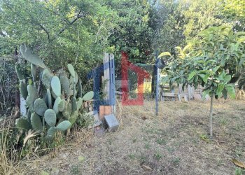 Foto 42 - Villa via delle azalee
 
snc, Aprilia - photo 42