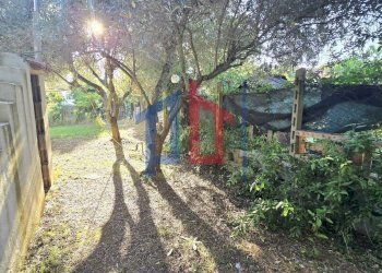 Foto 59 - Villa via delle azalee
 
snc, Aprilia - photo 59