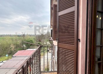 Balcone - Quadrilocale Viale Matteotti
 
79, Sesto ed Uniti - foto 17