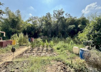 Giardino - Quadrilocale Viale Matteotti
 
79, Sesto ed Uniti - foto 45