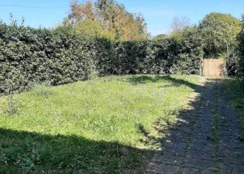 Foto 4 - Trilocale Stradone del Belvedere
 
3, Rosignano Marittimo - foto 4
