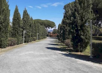 Foto 37 - Trilocale Stradone del Belvedere
 
3, Rosignano Marittimo - foto 37