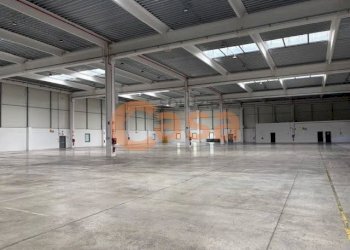 Foto 9 - Magazzino Viale dell'Industria, Castel San Giovanni - foto 9