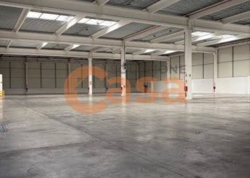 Foto 14 - Magazzino Viale dell'Industria, Castel San Giovanni - foto 14