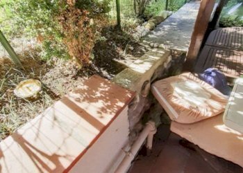 Giardino - Villa via Giardino, Pianoro - foto 17